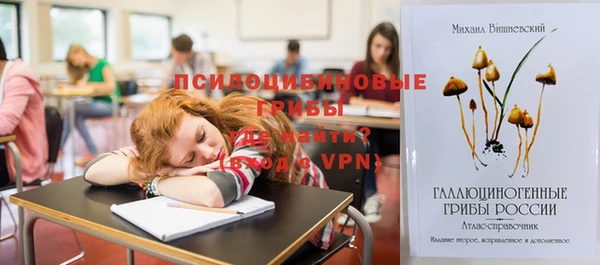 стафф Аркадак