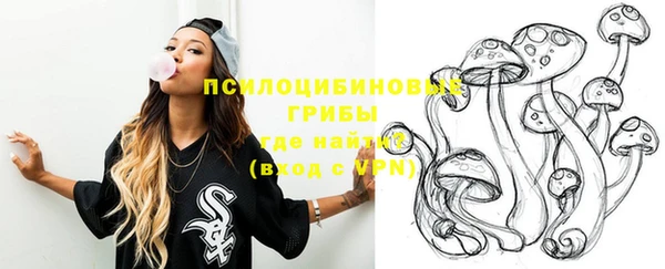стафф Аркадак