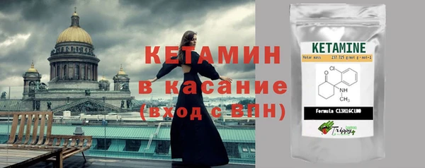 стафф Аркадак
